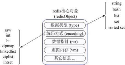 redis与memcached的区别是什么