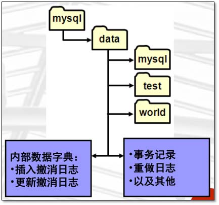 基于MySQL中存储引擎与日志说明的示例分析