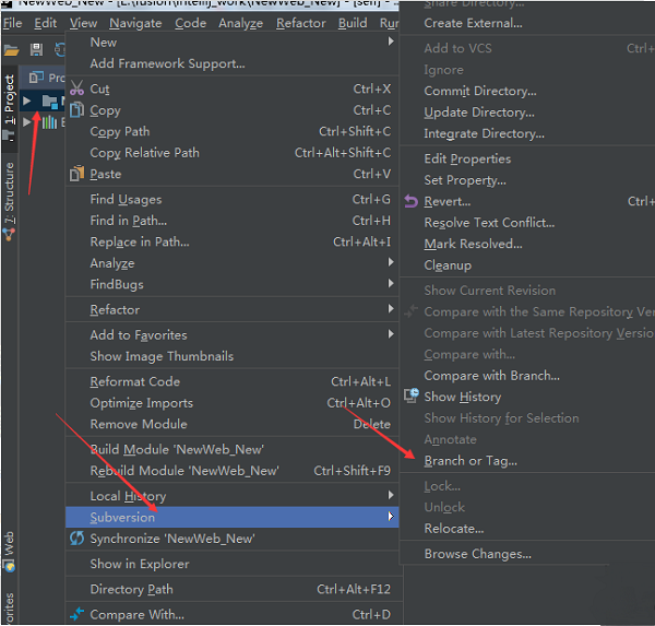 IntelliJ IDEA使用SVN分支的简单介绍