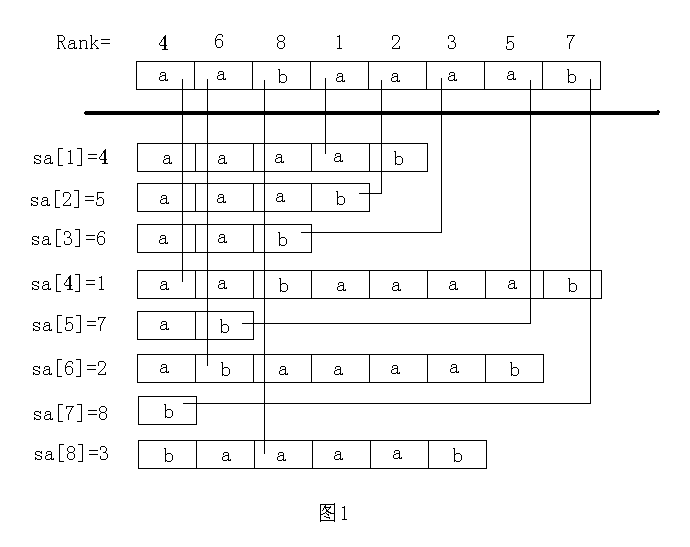 Java后綴數(shù)組之求sa數(shù)組的示例分析