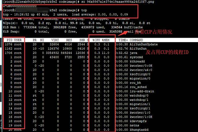 Java進(jìn)程cpu占用過高怎么辦