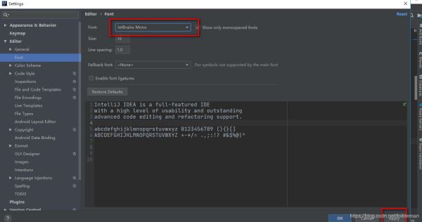 Windows中在IDEA上安装和使用JetBrains Mono字体的教程