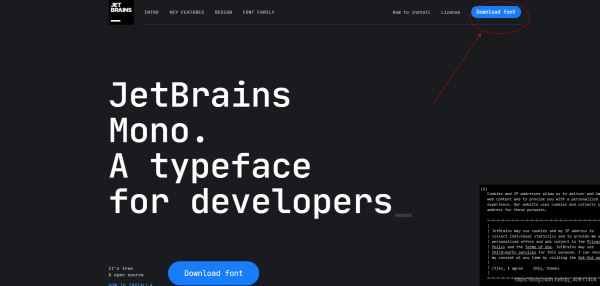 Windows中在IDEA上安装和使用JetBrains Mono字体的教程