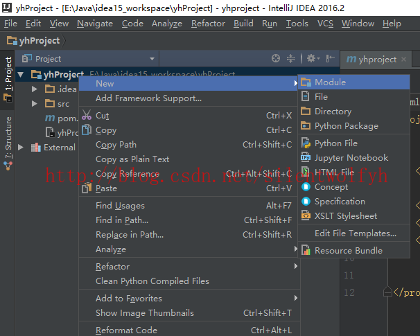 IntelliJ IDEA如何打开多个Maven的module且相互调用