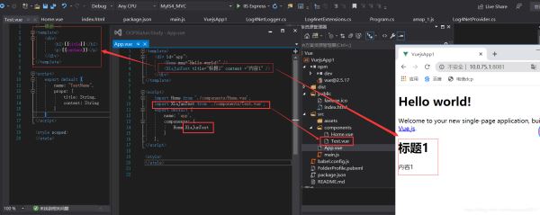 Visual Studio 2019 Vue项目的目录结构是怎样的