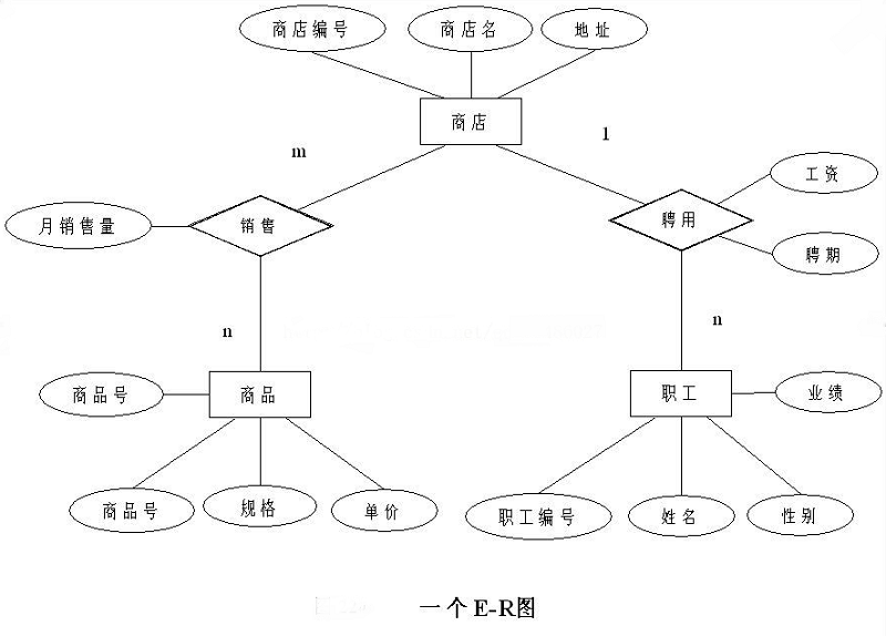 关于C语言中E-R图的详解