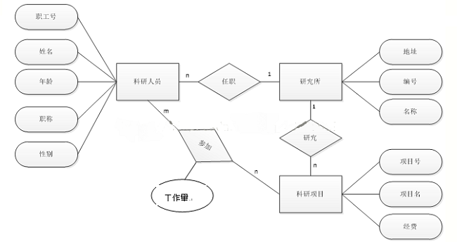 关于C语言中E-R图的详解