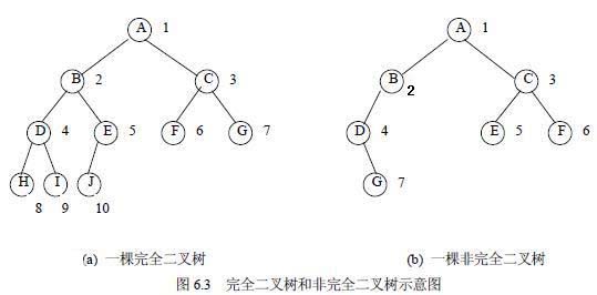 c語言 樹的基礎知識(必看篇)