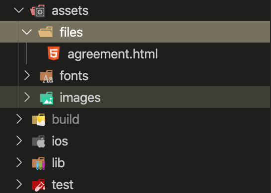 Flutter中如何加载并预览本地的html文件的方法