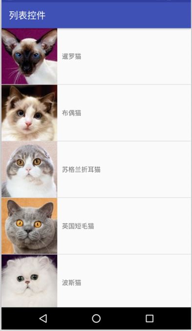 Android UI 中的 ListView列表控件的示例