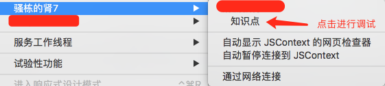 iOS如何调试WebView