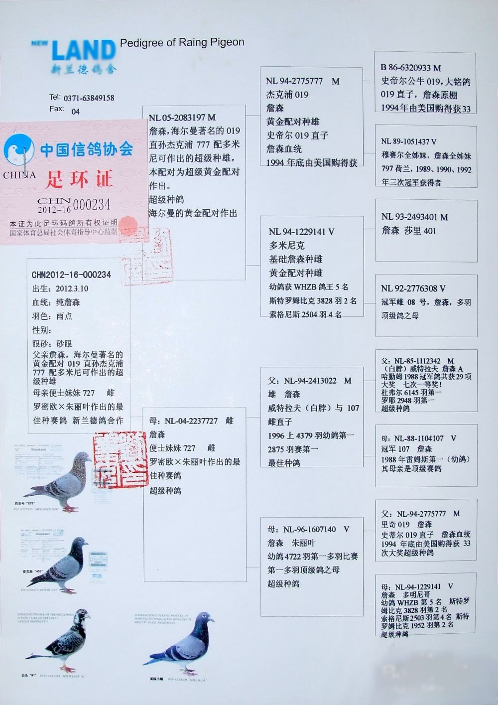 易语言怎么检测是否支付