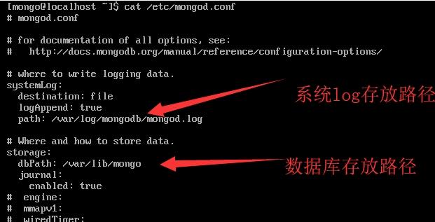 查看mongodb數(shù)據(jù)庫(kù)保存在哪里的方法