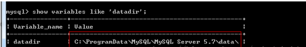 如何查看mysql的数据存放位置