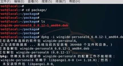 kali系统下载安装wingide的方法