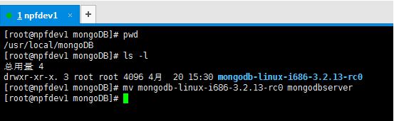 安装mongodb的详细操作