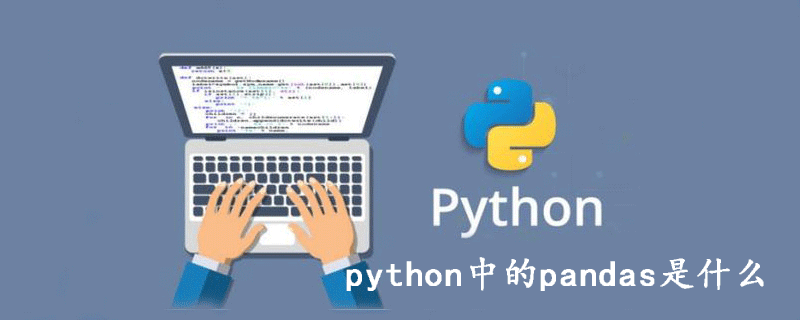 pandas在python中是什么