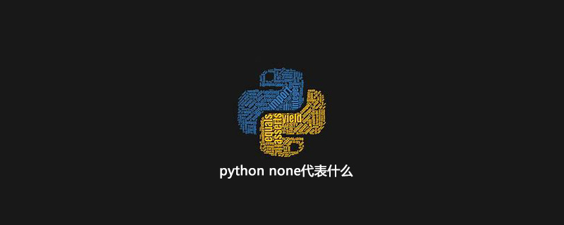 python none是什么