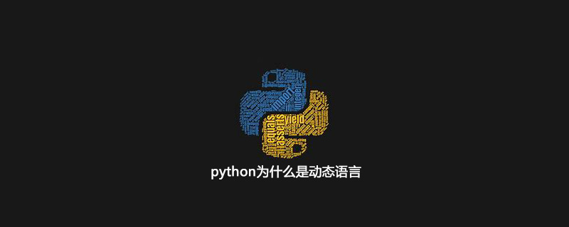 python是動態(tài)語言嗎