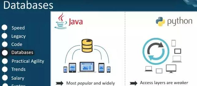 学java还是python