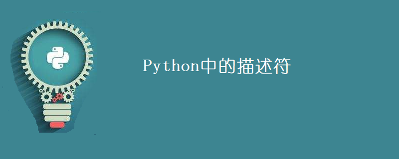 Python中描述符的案例分析
