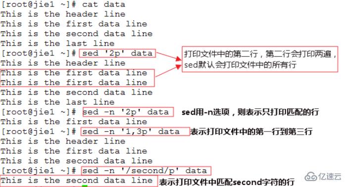 linux中的sed是什么