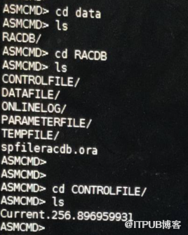 ORACLE RAC 11.2.0.4 for RHEL6.8無法啟動之ORA000205&ORA17503&ORA01174