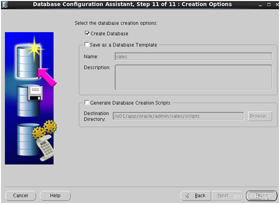 Install Oracle 11g on Red Hat Enterprise 6.5