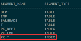 Oracle的7大闪回技术讲解