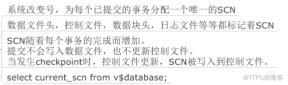 【深入】体系结构-003-SCN