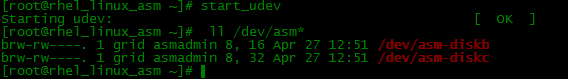 【ASM】Oracle ASM + 11gR2 + RHEL6.5 安装