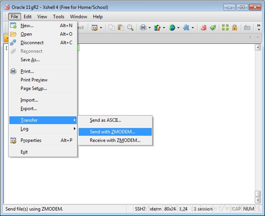 【ASM】Oracle ASM + 11gR2 + RHEL6.5 安装