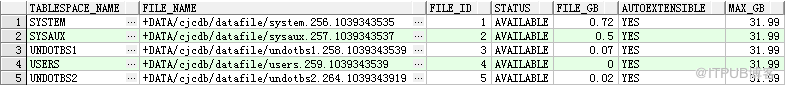 Oracle数据库(RAC)巡检报告