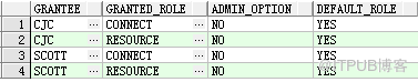 Oracle数据库(RAC)巡检报告