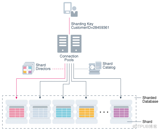 Oracle 20C 多租户_1.2 数据库与实例介绍