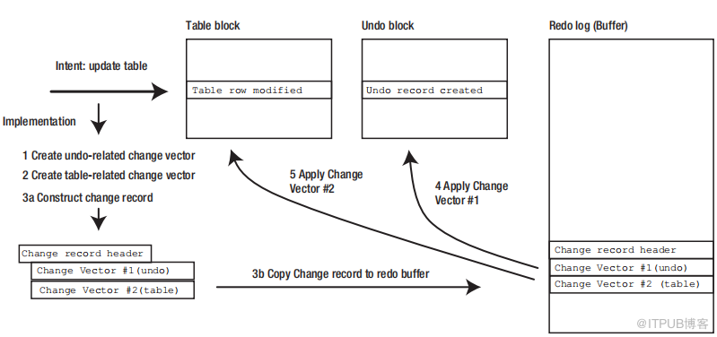 Oracle Redo and Undo