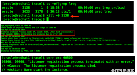 oracle 12c 新增的LREG进程及其动态注册的过程