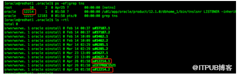 oracle 12c 新增的LREG进程及其动态注册的过程