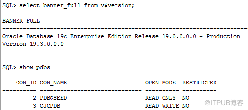 Oracle 19C下载和安装详细过程