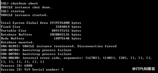 Oracle数据库实现SQL注入模拟与恢复