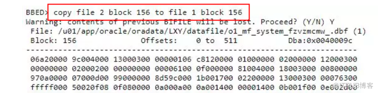 数据库软件被注入恶意代码，导致数据库无法启动，ORA-600_16703