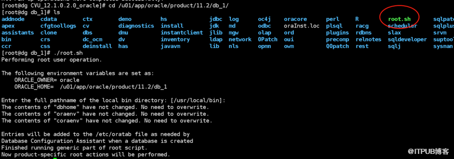 Oracle RAC+DG环境搭建（CentOS 7+Oracle 12C）( 十） 部署 DataGuard