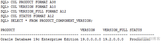 Oracle 19C 下载和安装