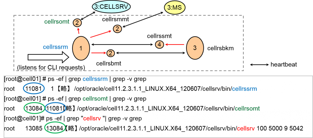 Oracle Exadata存储服务器原理是什么