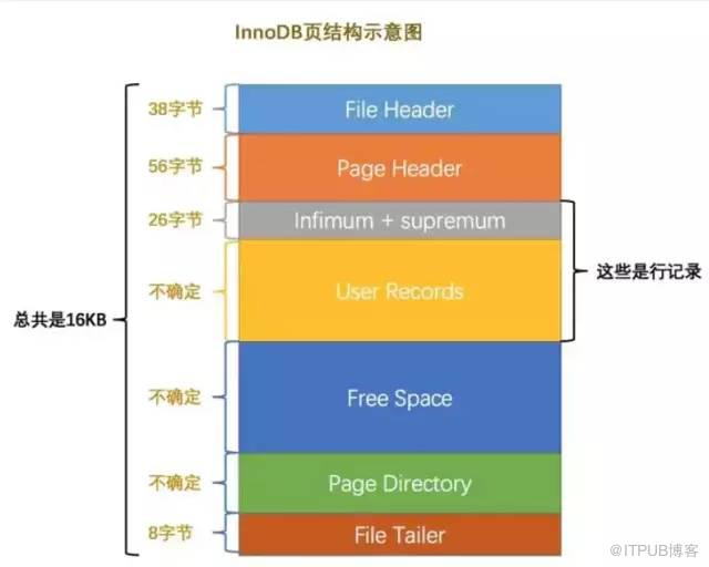 面试题总结：可能是全网最好的MySQL重要知识点