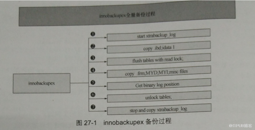 如何使用innobackupex命令备份