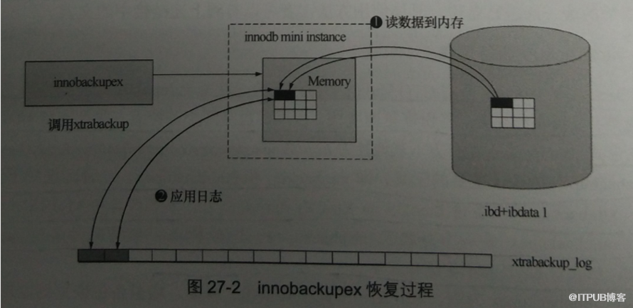 如何使用innobackupex命令备份