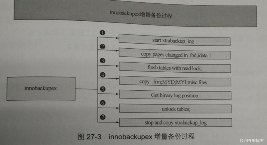 如何使用innobackupex命令备份