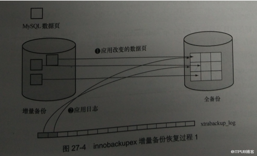 如何使用innobackupex命令备份