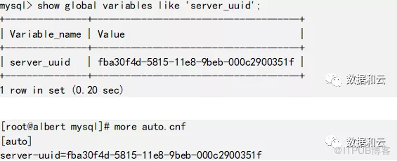 MySQL GTID与MariaDB GTID的不同之处有哪些